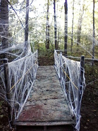 Picture of fake spiderwebs stretched across scary footbridge
